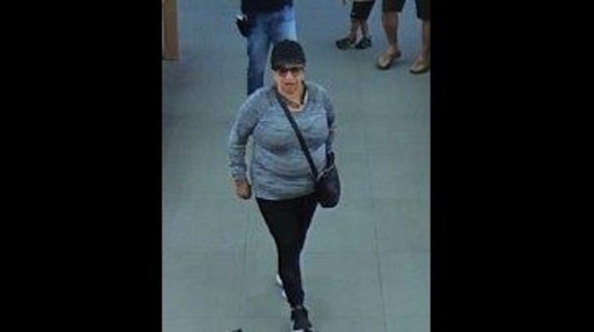 Roseville police seek a woman suspected of stealing a wallet, then using a stolen credit card to buy over $8,000 in merchandise from three Roseville stores.