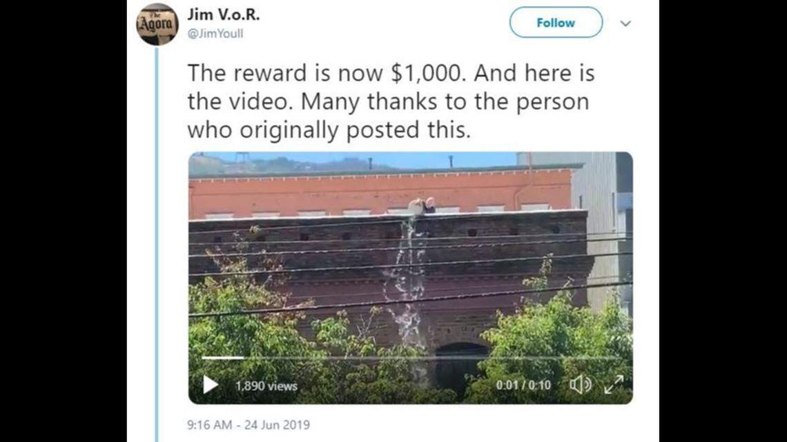 A $1,000 reward has been offered on Twitter to identify a man seen in a viral video pouring a bucket of water off a San Francisco roof onto a homeless woman’s sidewalk camp. Neighbors say it’s not the first time.