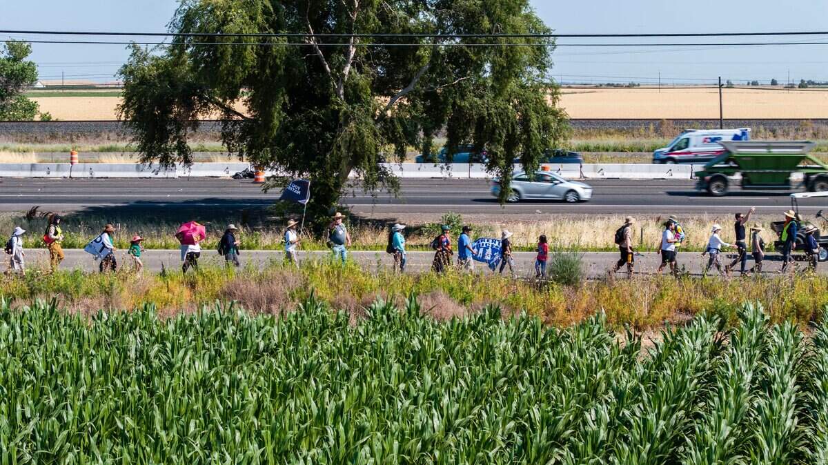 Marchers pass near a corn field near Davis during a three-day march for immigrant rights on Monday. The three-day march started in Vacaville and was due to conclude at the state Capitol later in the day.