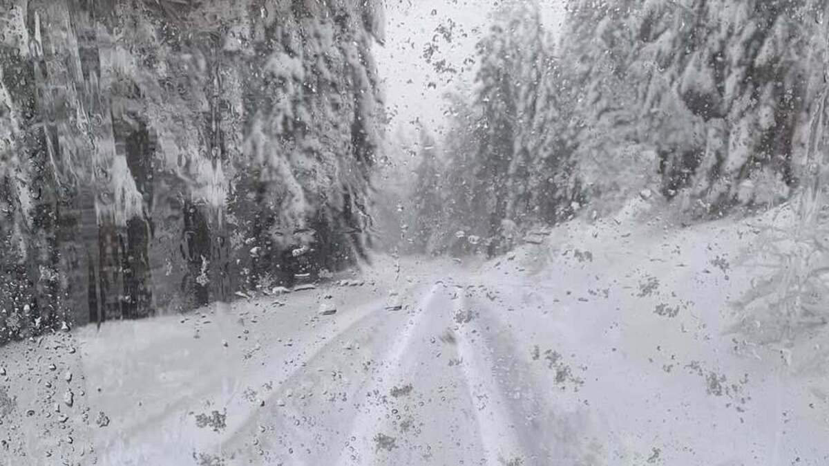 The Nevada County Sheriff’s Office Search and Rescue team rescued a missing showshoer Saturday afternoon near the Pacific Crest Trail.