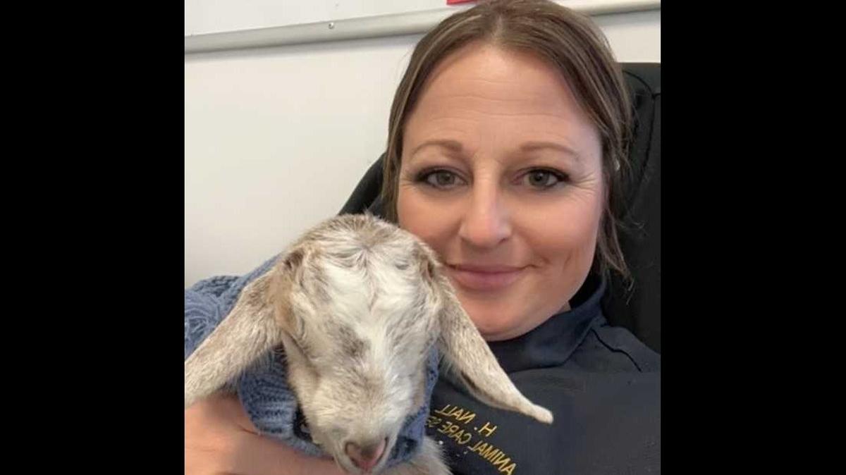 Yuba County Animal Care Services Manager Heather Nall holds a newborn goat she helped deliver. The mother goat was experiencing complications during the birth.
