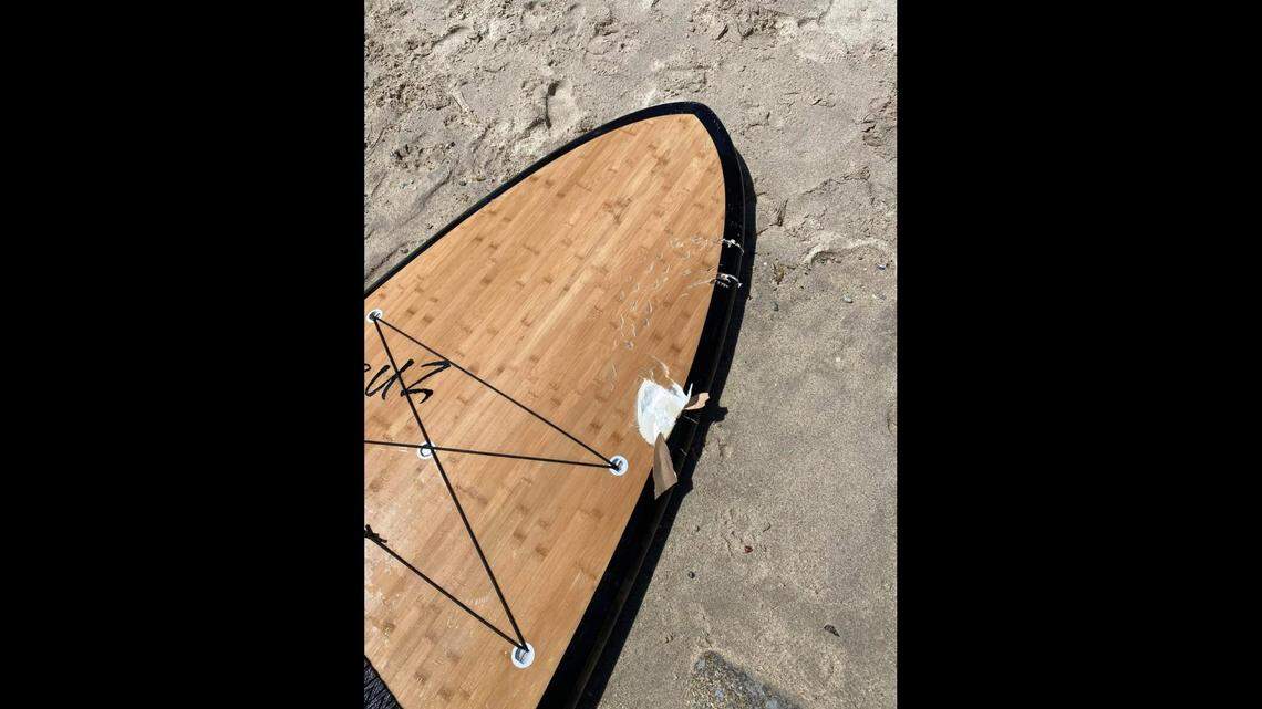 A shark bit a man’s paddleboard at Lovers Point beach in Pacific Grove, California, on Aug. 10, 2022, police said. He was not injured.