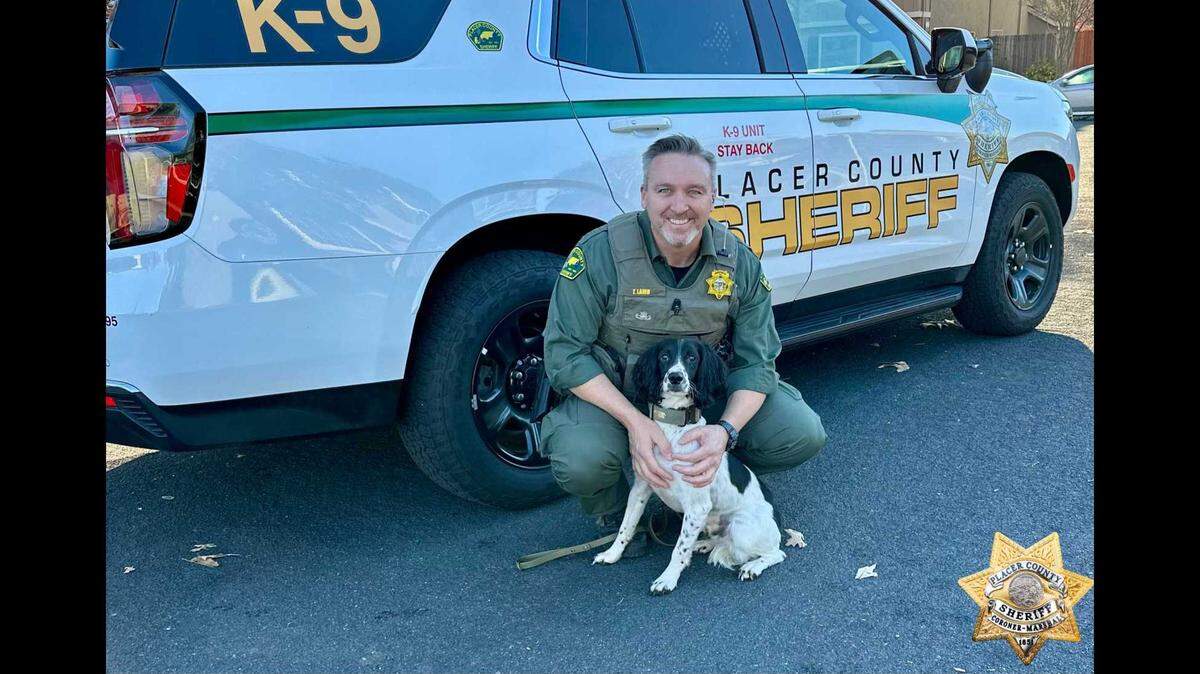Placer County Sheriff’s Deputy Tom Lamb and Stanley grin in a photo. Stanley is the agency’s first explosive detecting canine.