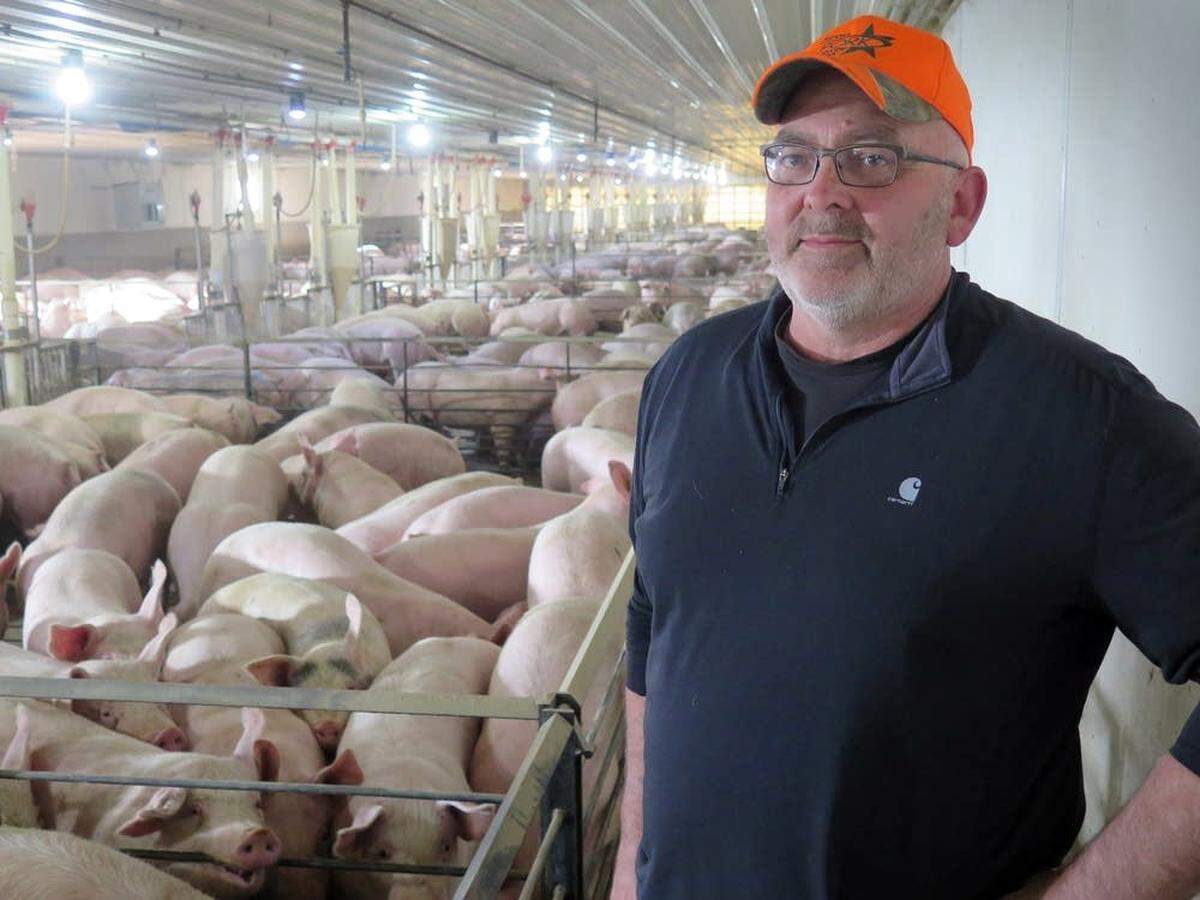 Randy Spronk of Edgerton, Minn., and other hog farmers are suing to block California’s Proposition 12, which sets new rules for housing farm animals.