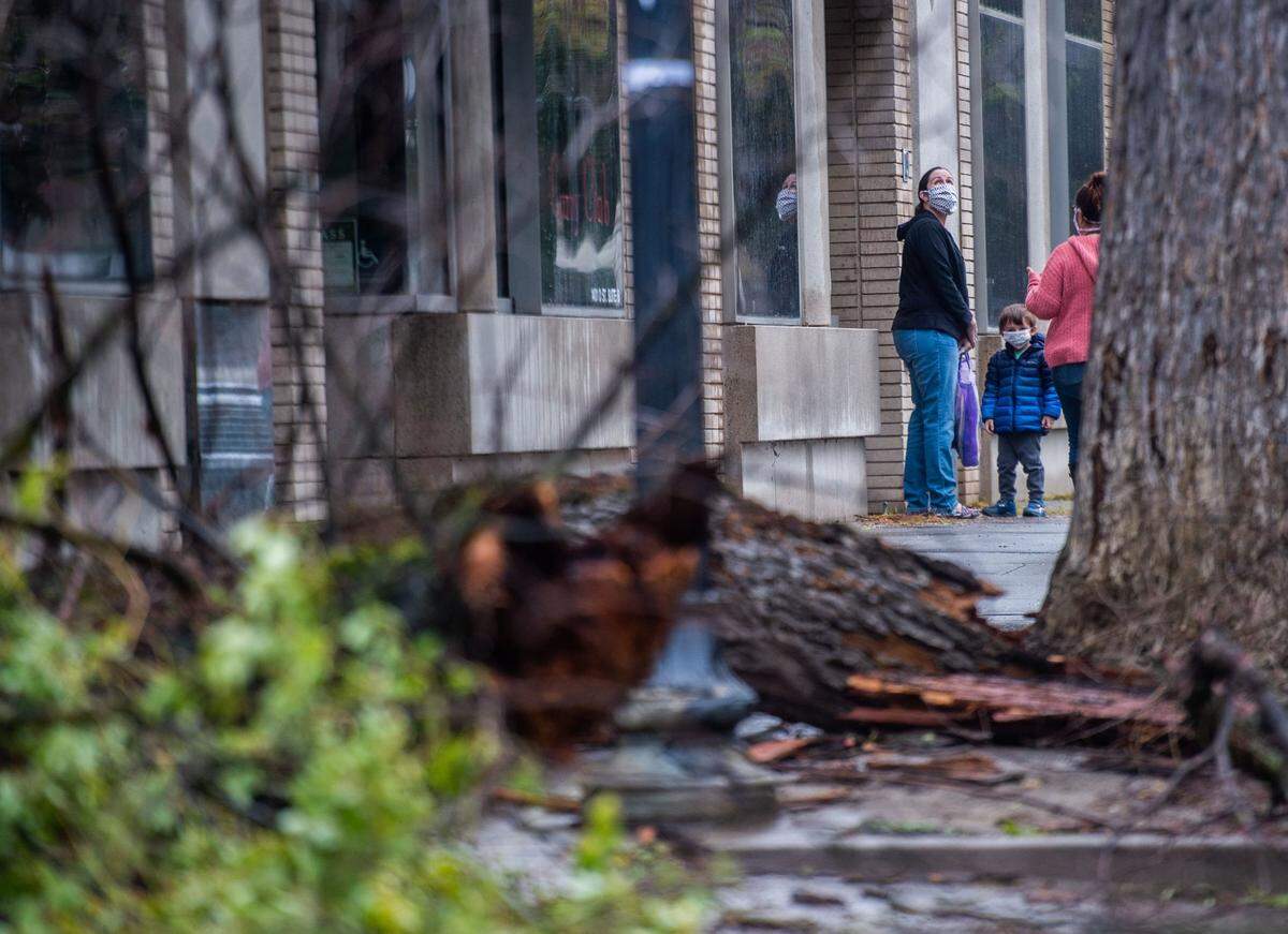 Ilana Rub and her son Jonah, 3, look at the fallen tree in front of his daycare center as she drops him off in downtown Sacramento on Wednesday, Jan. 27, 2021.