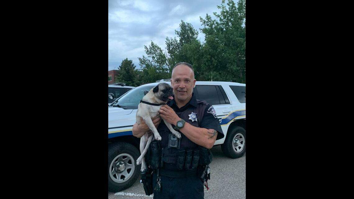 A deputy gave a pug he rescued a fitting nickname after spending some time together, Colorado deputies said.