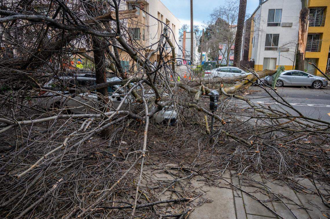 A large tree branch covers 15th Street and multiple cars between N and O streets in Sacramento on in 2024 after high winds caused tree damage across the region.