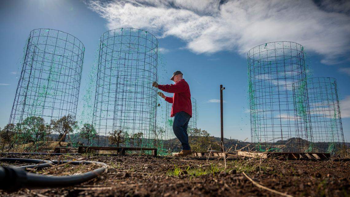Marijuana is legal in California. Why is one county holding up grow licenses?