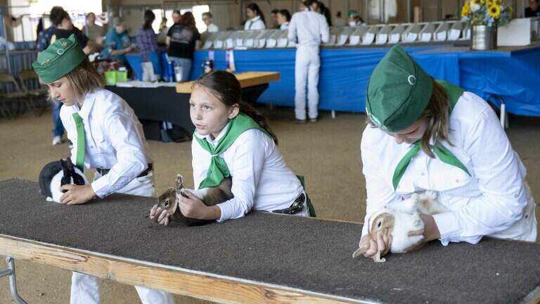 Floppy ears, round noses mean business to these California State Fair competitors