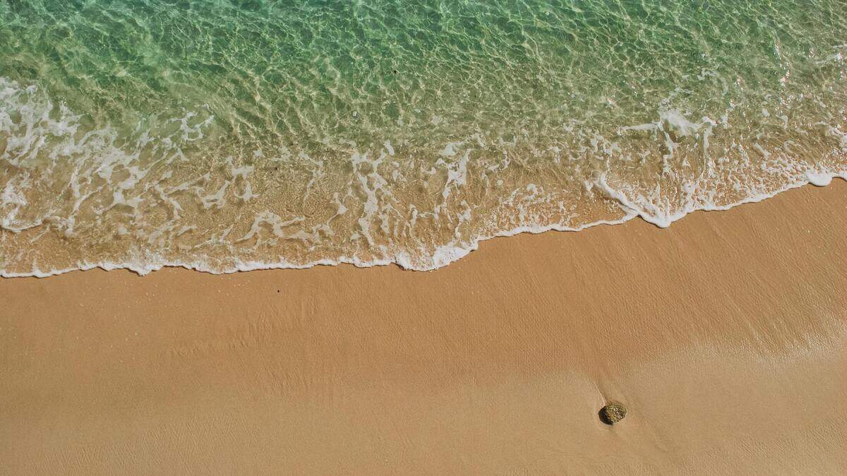 A surfer was thrown from their board after a shark bumped and grazed it about 100 yards from the shore, California officials said. 