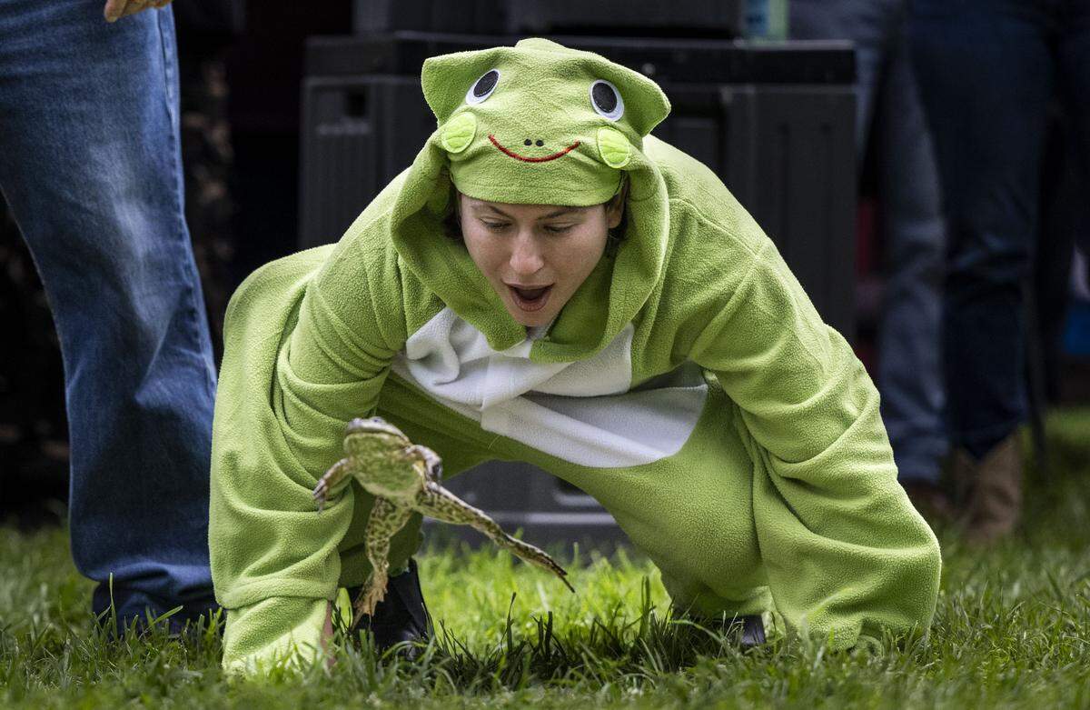 Pearl Koven, with the Senate Republican Caucus, encourages her frog Schlomo Leipowitz during the 50th annual capitol frog Jump in Sacramento on Tuesday.