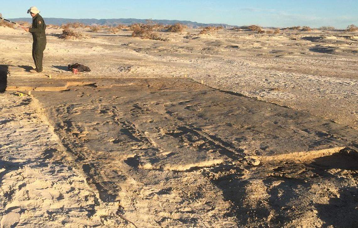 Drag marks found in White Sands National Park, New Mexico, may belong to the earliest known vehicle, researchers say.