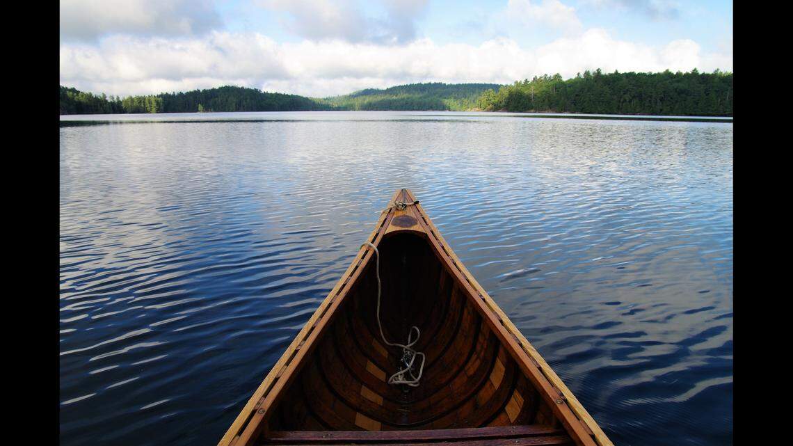 A man is missing after branches along an Alaska river knocked him out of his canoe, troopers said. 