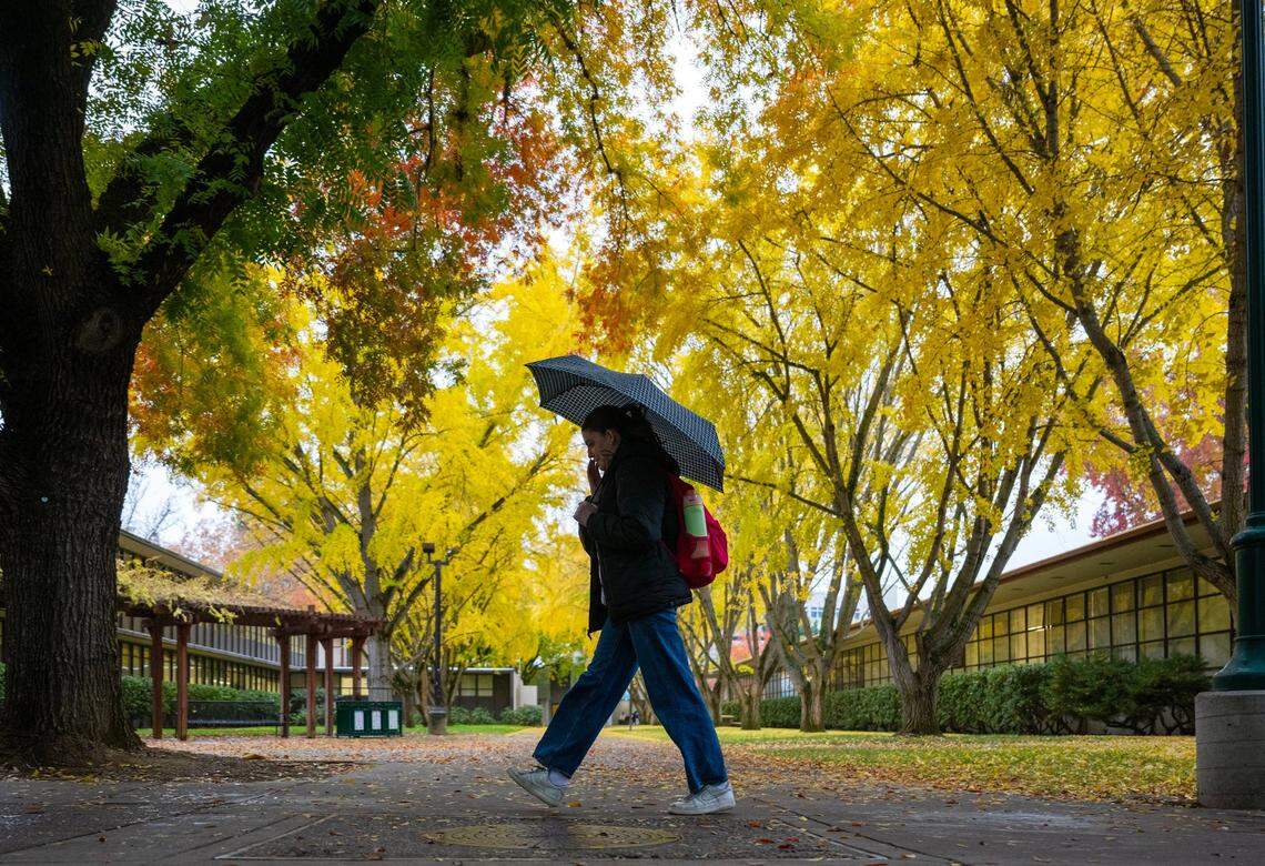 Student Rebecca Seasick walks through the rain on the campus at Sacramento State on Nov. 21, 2024.