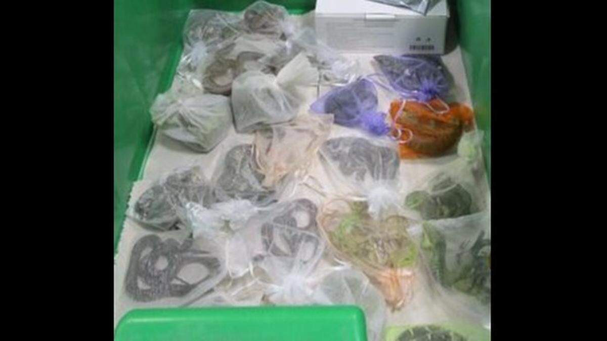 A California man faces federal charges after being accused of smuggling 60 reptiles across the U.S. border at San Ysidro.