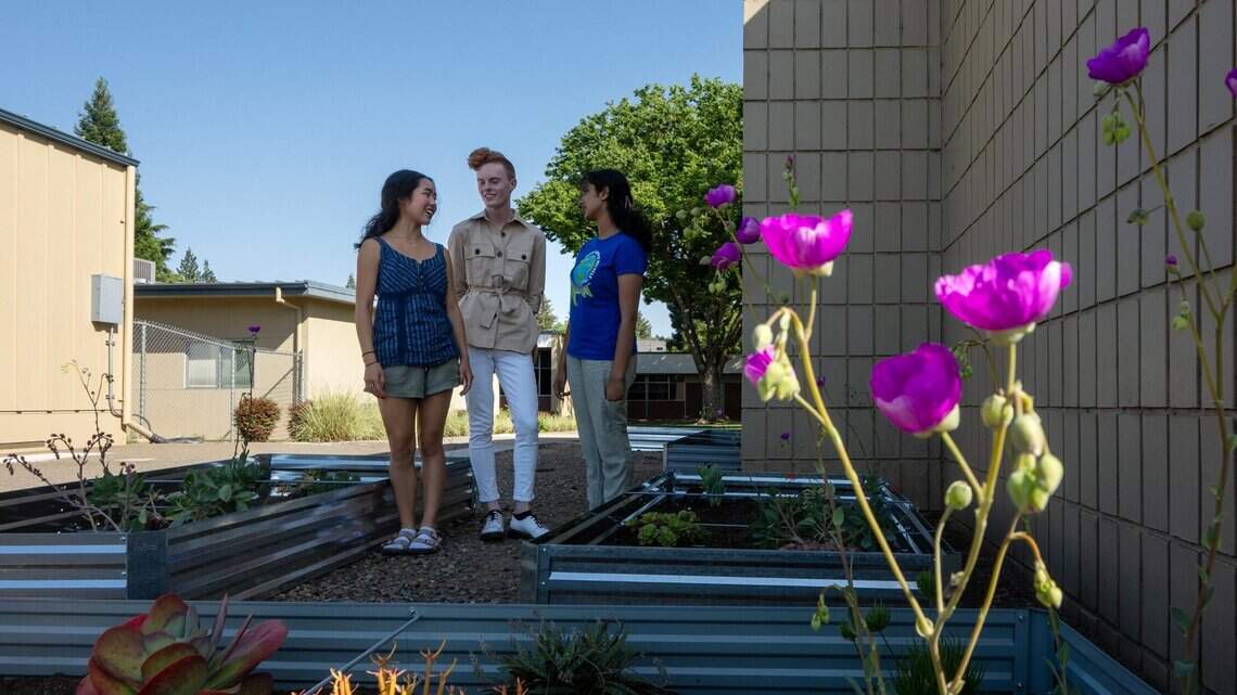 The Bee funded a pollinator garden project. Students show how big ideas grow in small spaces