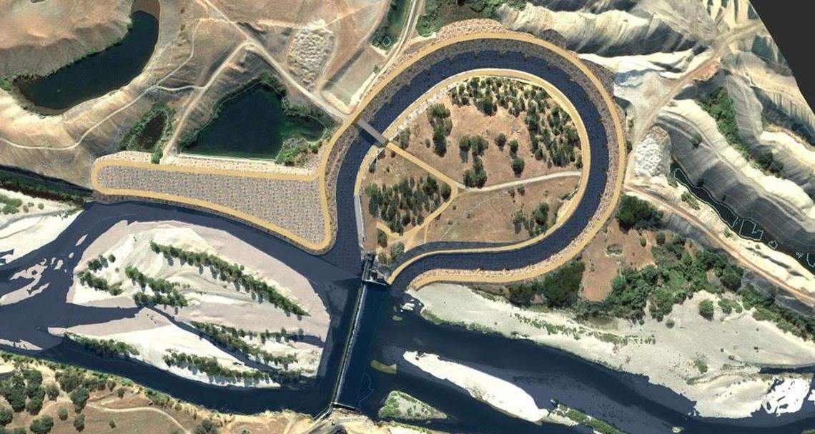 A rendering shows the proposed “fishway” designed to allow fish free passage around Daguerre Dam on the lower Yuba River. The project is one of several aimed at improving habitats and migration for salmon and other threatened species.