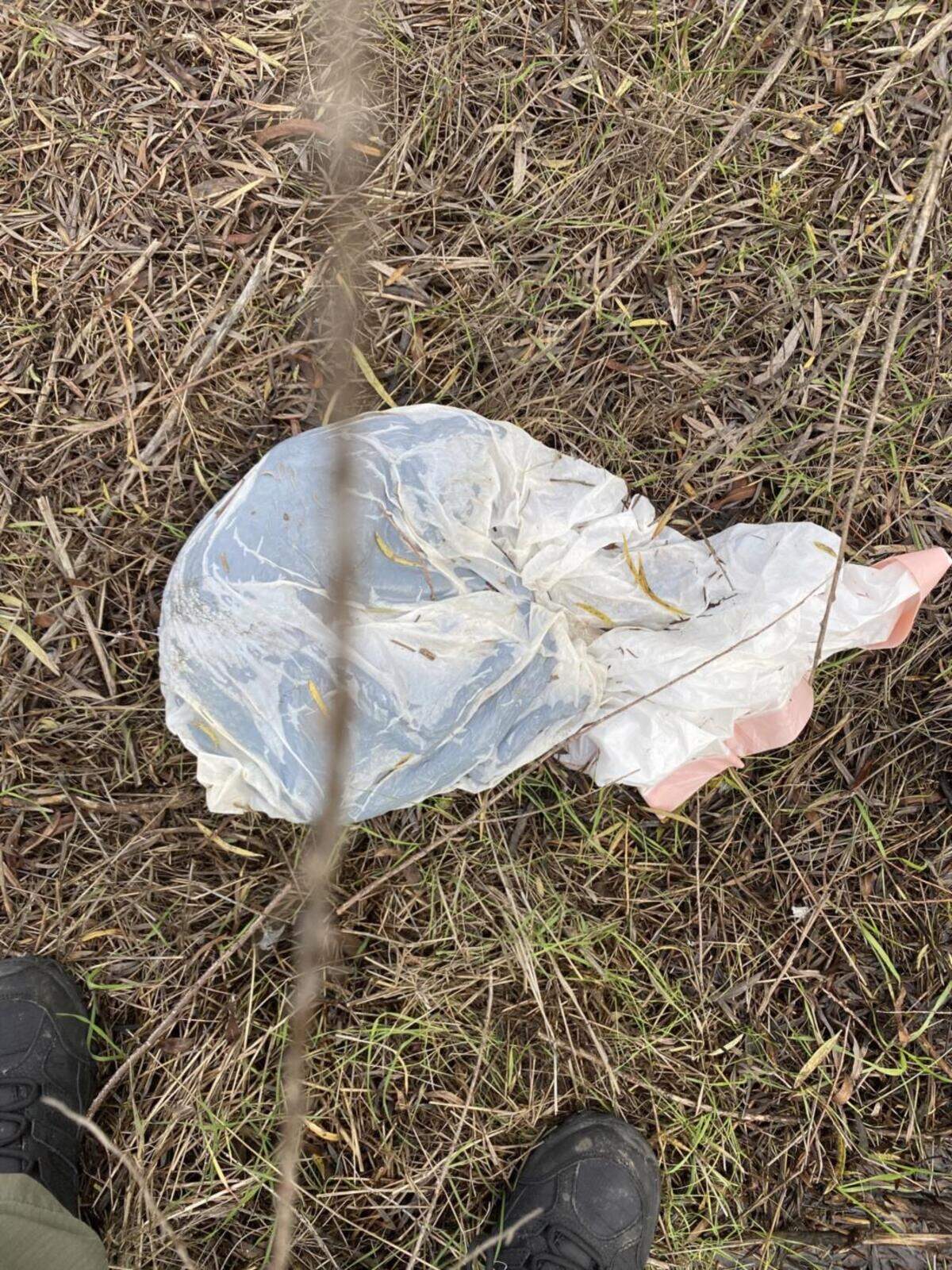 Placer County officials opened an animal cruelty investigation into the suspicious deaths of 13 cats and a hawk. This plastic bag was found at the site where they were placed.