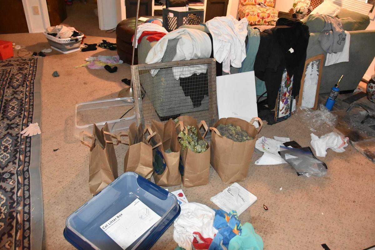 A man was arrested on a child endangerment charge on Wednesday Nov. 15, 2023, after authorities reportedly found over 360 pounds of processed cannabis and loaded shotgun near a child’s play kitchen at his home in Smartsville, California.