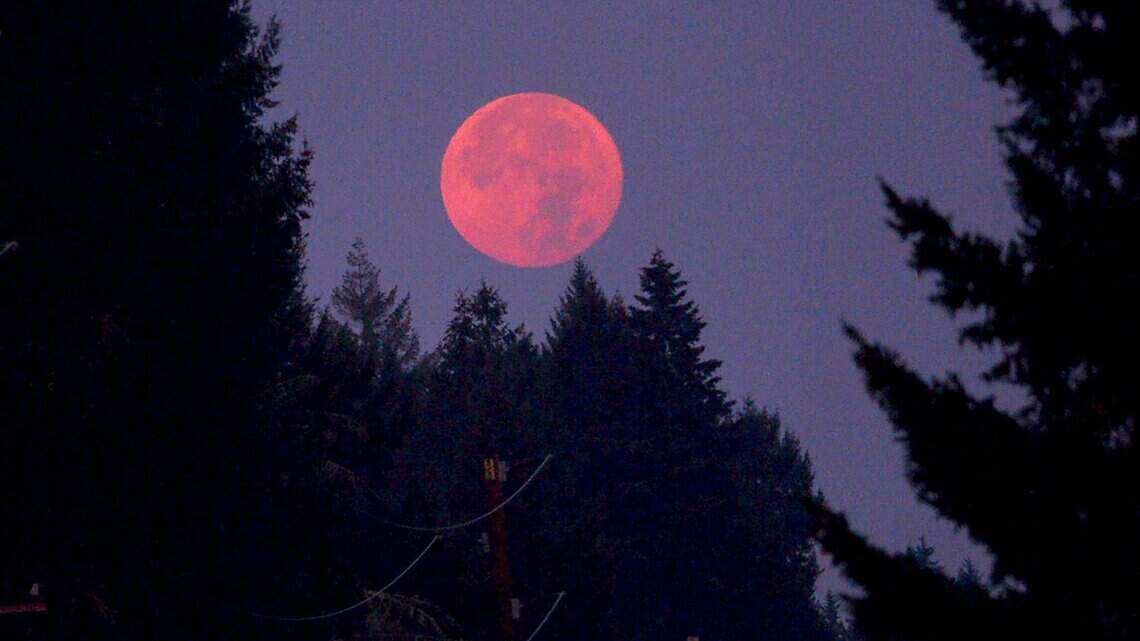 Diamond moon, planets and Milky Way core on display in WA. Here’s when to look up