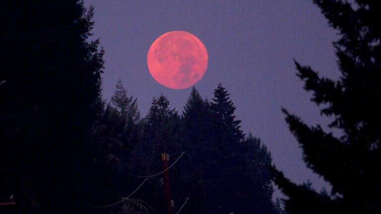 Diamond moon, planets and Milky Way core on display in WA. Here’s when to look up