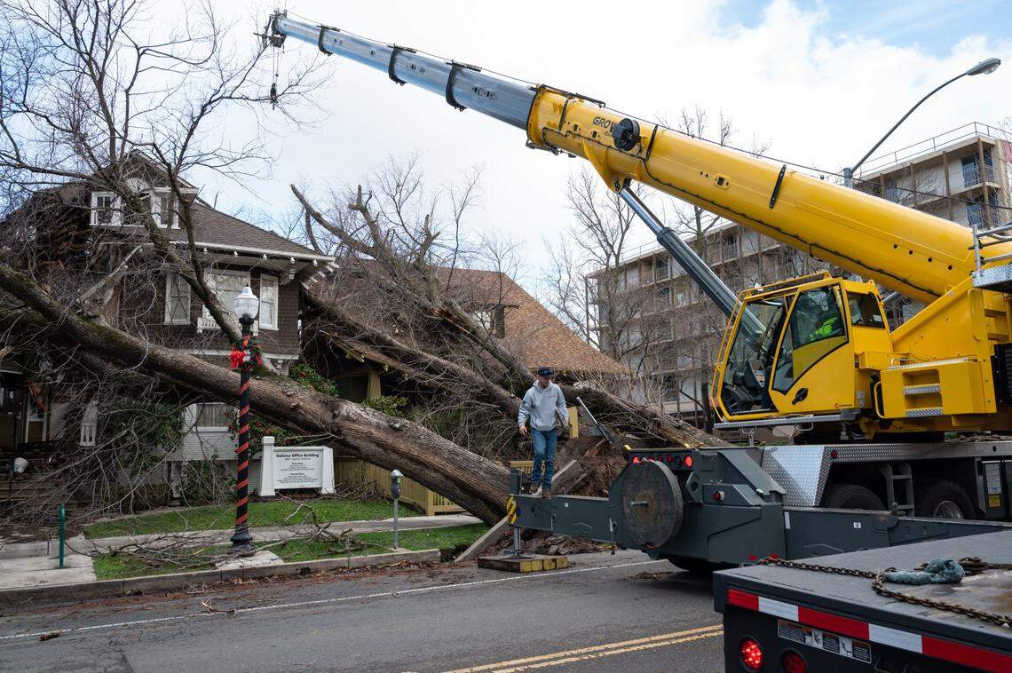 Crane operator Ricky Kapuschinsky, with AAA Crane, gets ready to lift uprooted trees on Capitol Avenue and 27th Street on Sunday in midtown after a storm brought high winds overnight to the Sacramento region.