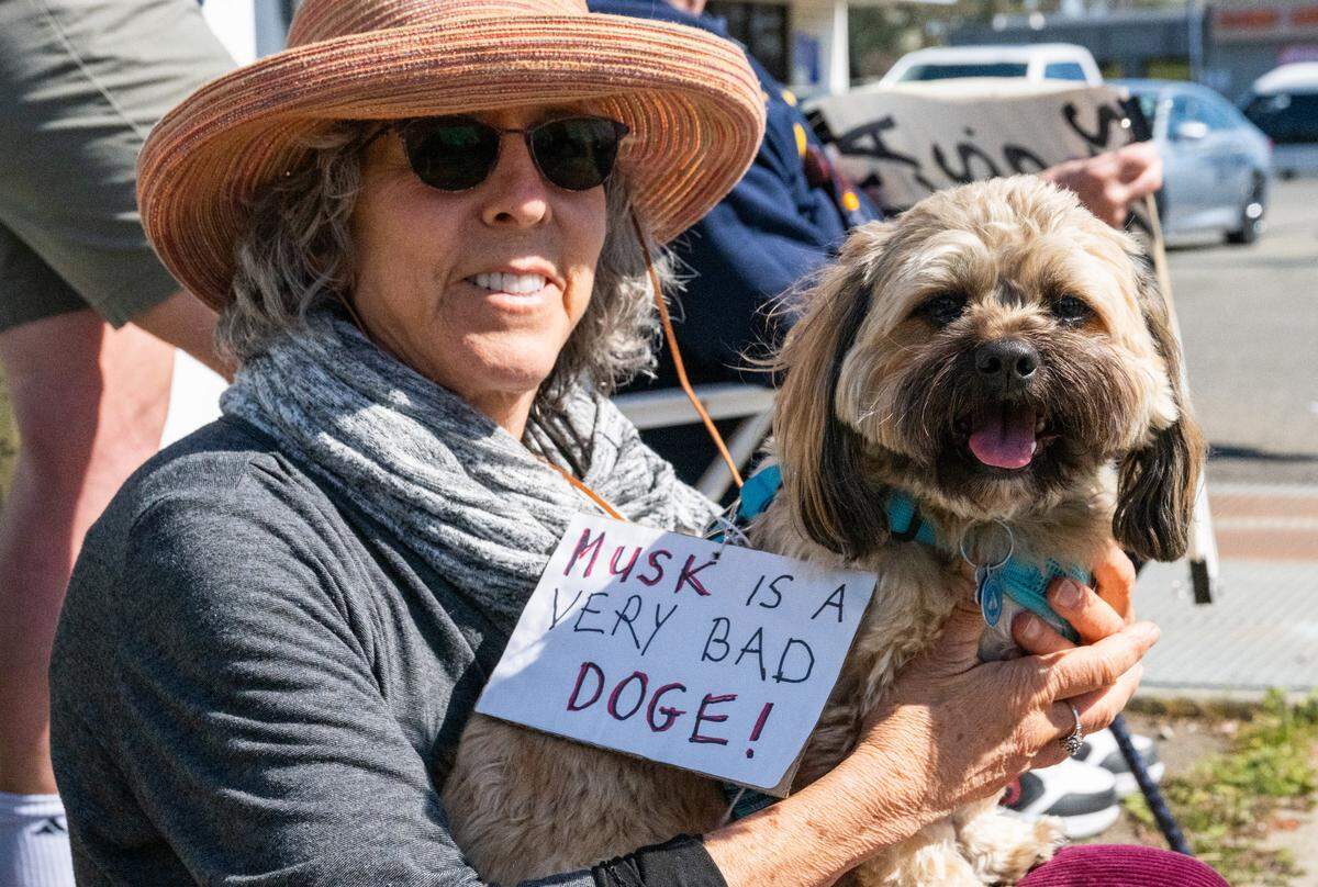 “Musk is a very bad doge!” reads a sign on canine protester Ziggy, held by owner Diane Simon, at a rally against Elon Musk at a Tesla dealership on Arden Way near Sacramento on Saturday, March 8, 2025. More than 100 people lined both sides of street to protest the role of the tech billionaire and Tesla CEO in the Trump administration.