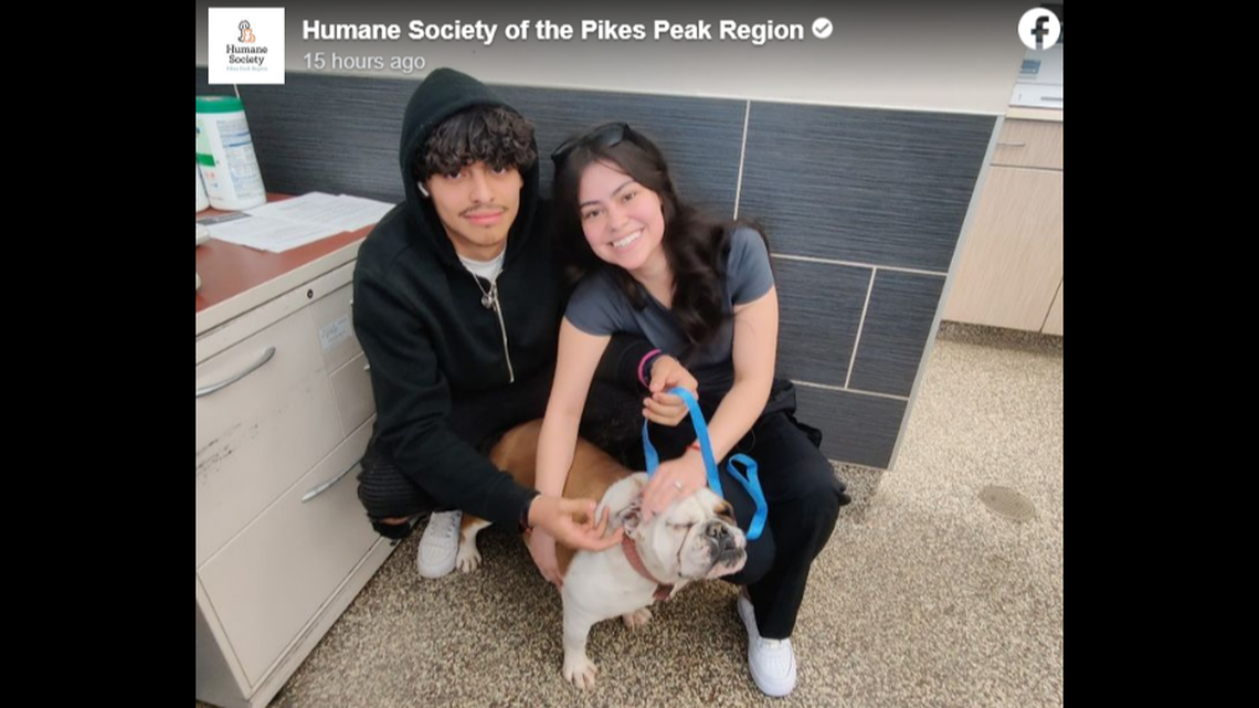 A bulldog that disappeared over a year ago while playing in her Colorado yard has been reunited with family, according to an animal shelter.