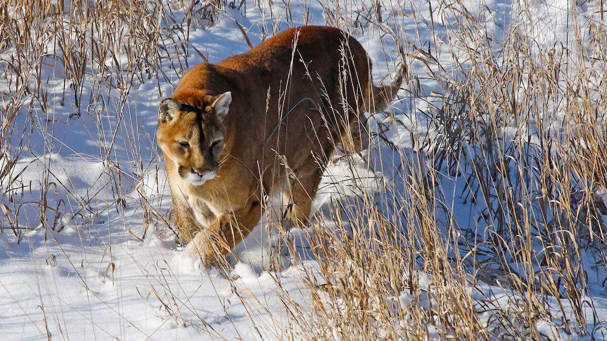 Colorado Parks and Wildlife Trinidad Lake