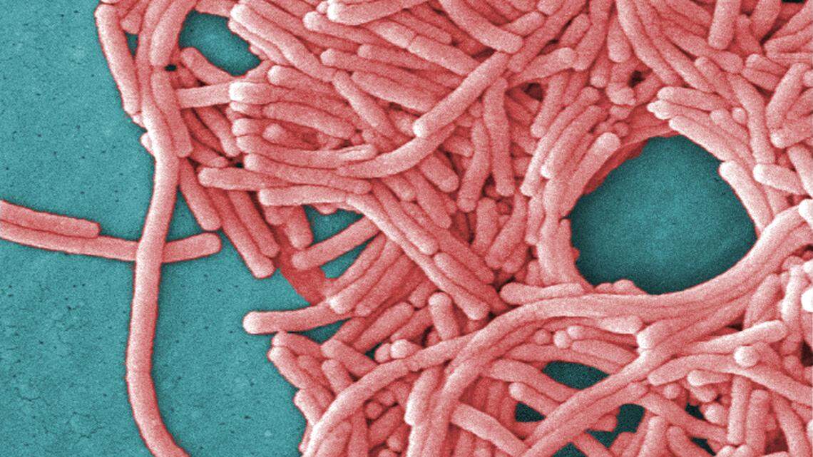 In California state offices emptied by COVID-19, dormant pipes could pose new disease risks