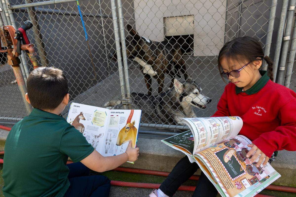 First-grade students Mason Chang and Ava Leonindo-Tsuchida from St. Ignatius School read to the dogs in their kennels at the Front Street Animal Shelter in Sacramento in March. Limited kennel space and antiquated enclosures are some of the problems at the facility, according to volunteers. 