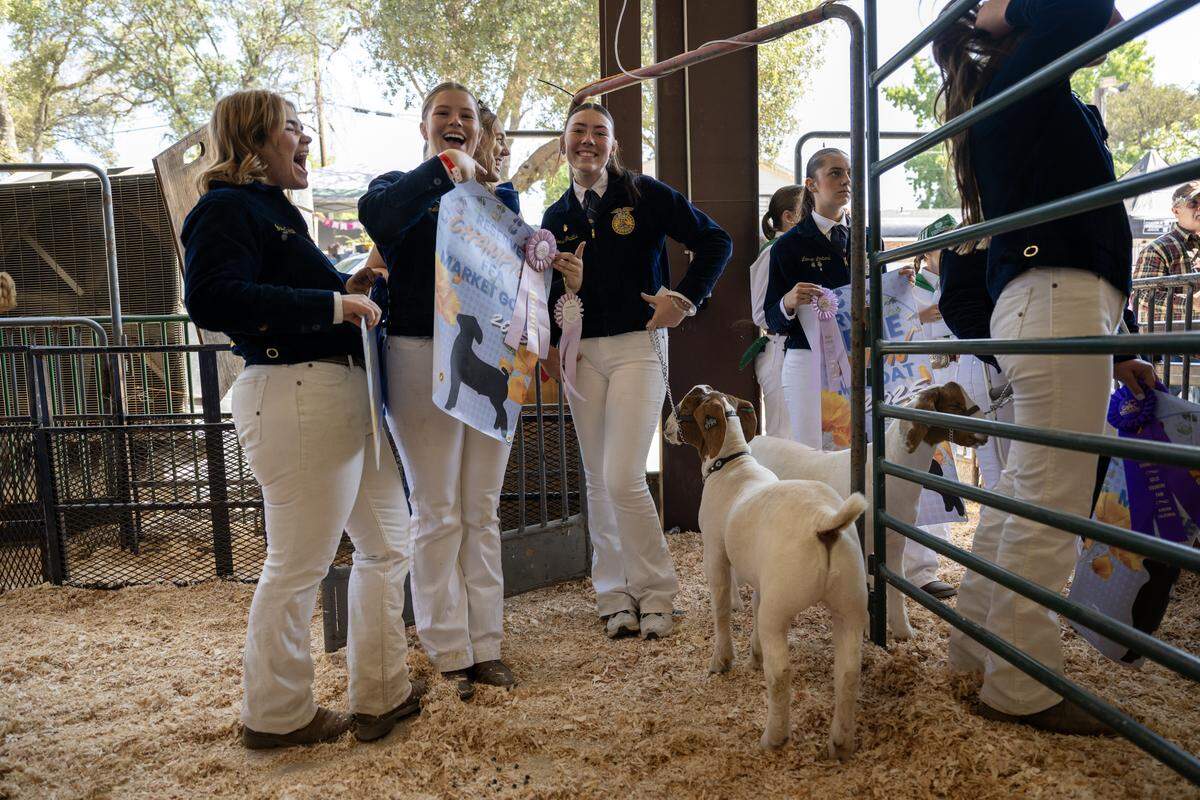 Isabella Becker, left, Amelia Tracy, center, and Reese Grubbs hoot and holler as an FFA companion completes their auction at the Gold Country Fair in Auburn on Saturday.