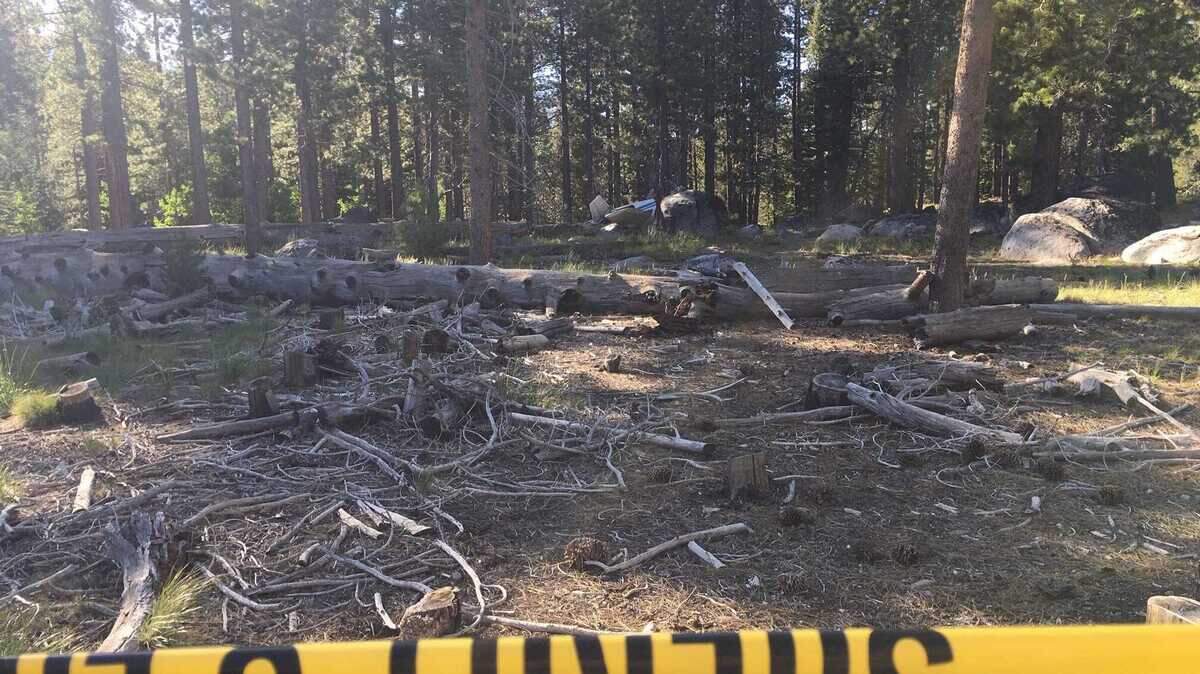 A single-engine plane crashed with two people aboard Tuesday in a wooded area in the town of Meyers in the South Lake Tahoe Basin. One person died in the crash and the other was injured.