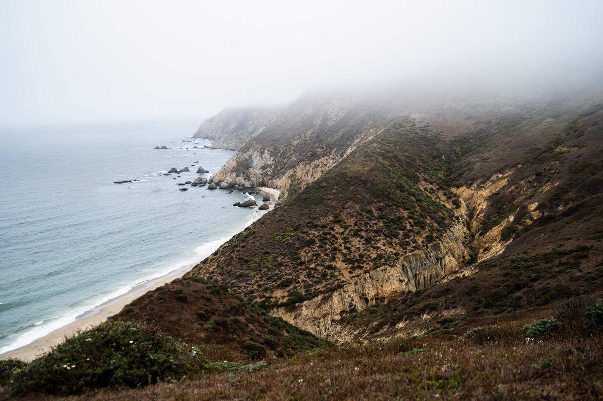 Fog engulfs a part of White Gulch on Tuesday inside the Tule Elk Reserve on Point Reyes. In the past year, more than a third of the herd’s population has died.