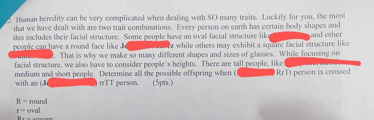 This test question appeared on a Luther Burbank High School biology final in June 2024. Student names were obscured by the sources who provided the images to the Sacramento Bee. The question reads: “Human heredity can be very complicated when dealing with SO many traits. Luckily for you, the most that we have dealt with are two trait combinations. Every person on earth has certain body shapes and this includes their facial structure. Some people have an oval facial structure like (student name) and other people can have a round face like (student name) while others may exhibit a square facial structure like (student name). That is why we make so many different shapes and sizes of glasses. While focusing on facial structure, we also have to consider people’s heights. There are tall people, like (student name), medium and short people. Determine all the possible offspring when (student name) RrTt person is cross with an (student name) rrTT person.”