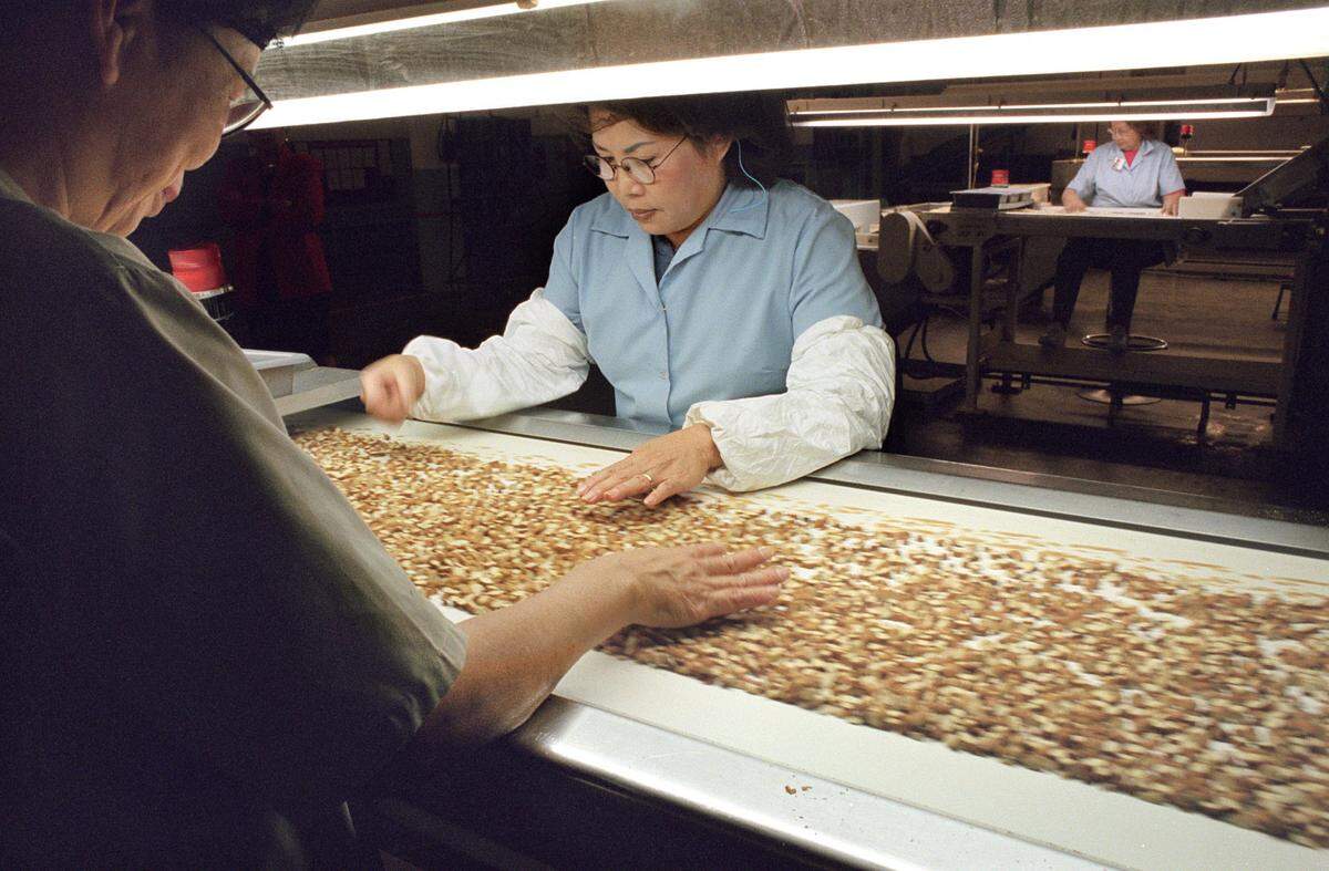 Chopped almonds speed by on conveyor belt at an inspection station at the Blue Diamond Almond Growers plant in Sacramento in 1998. Blue Diamond has not allowed The Bee to photograph its factory floor since 2011.