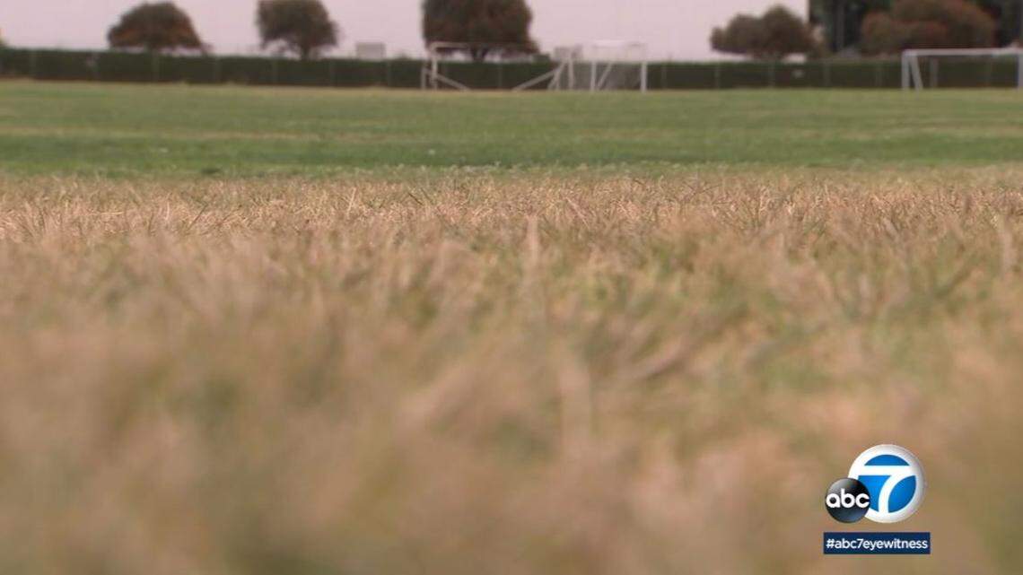 Russell Matthew Husges, 43, chased his estranged wife onto a youth football field Friday evening in Garden Grove, California, carrying two butcher knives, police say.