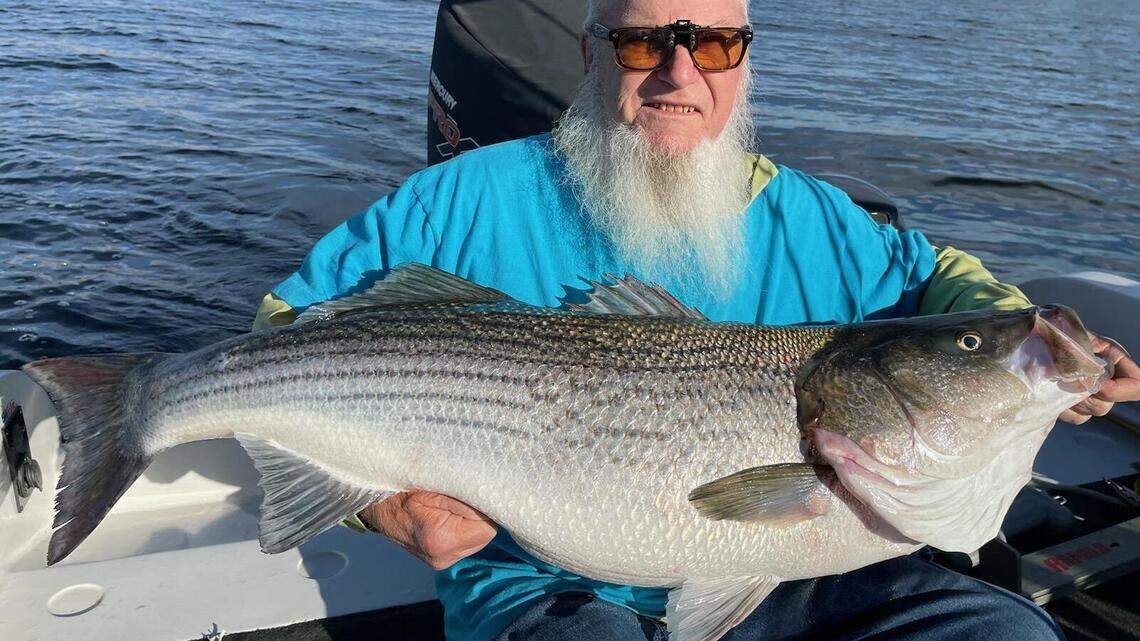 Fishing report, Sept. 13-19: Head up to Pine Flat for good bass fishing, Don Pedro at night for trout.
