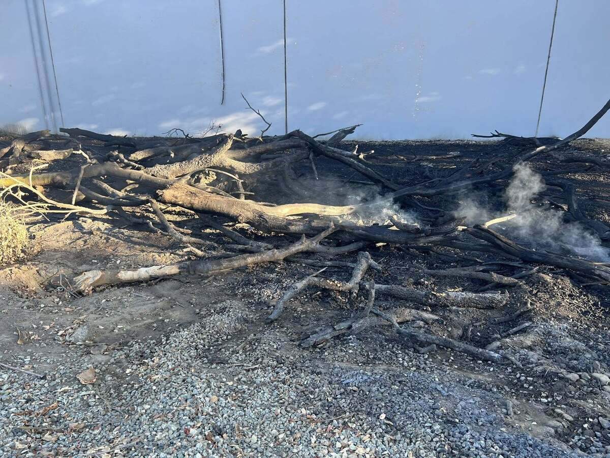 The remnants of the fourth of at least four grass fires that the Woodland Fire Department battled Wednesday. A Woodland woman was arrested in connection with the fires later Wednesday, the Woodland Police Department said.