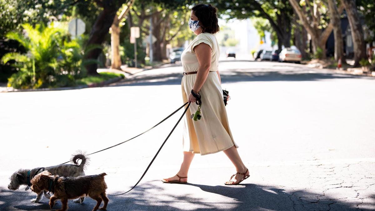 District 4 Sacramento City Councilmember-Elect Katie Valenzuela takes her dogs on one of their routine neighborhood walks to Ulysses S. Grant Park on Friday, July 31, 2020, in Sacramento.