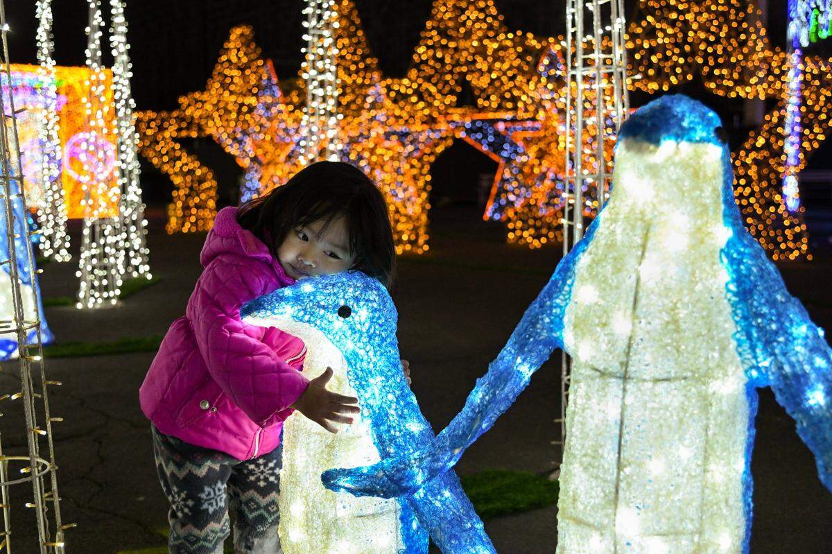 Sacramento resident Sage For, 2, hugs LED penguins at the Imaginarium at the Cal Expo in Sacramento on Nov. 21, 2022. This year’s “Light Up The Night” holiday light festival has more than 5 million lights across 15 acres. 