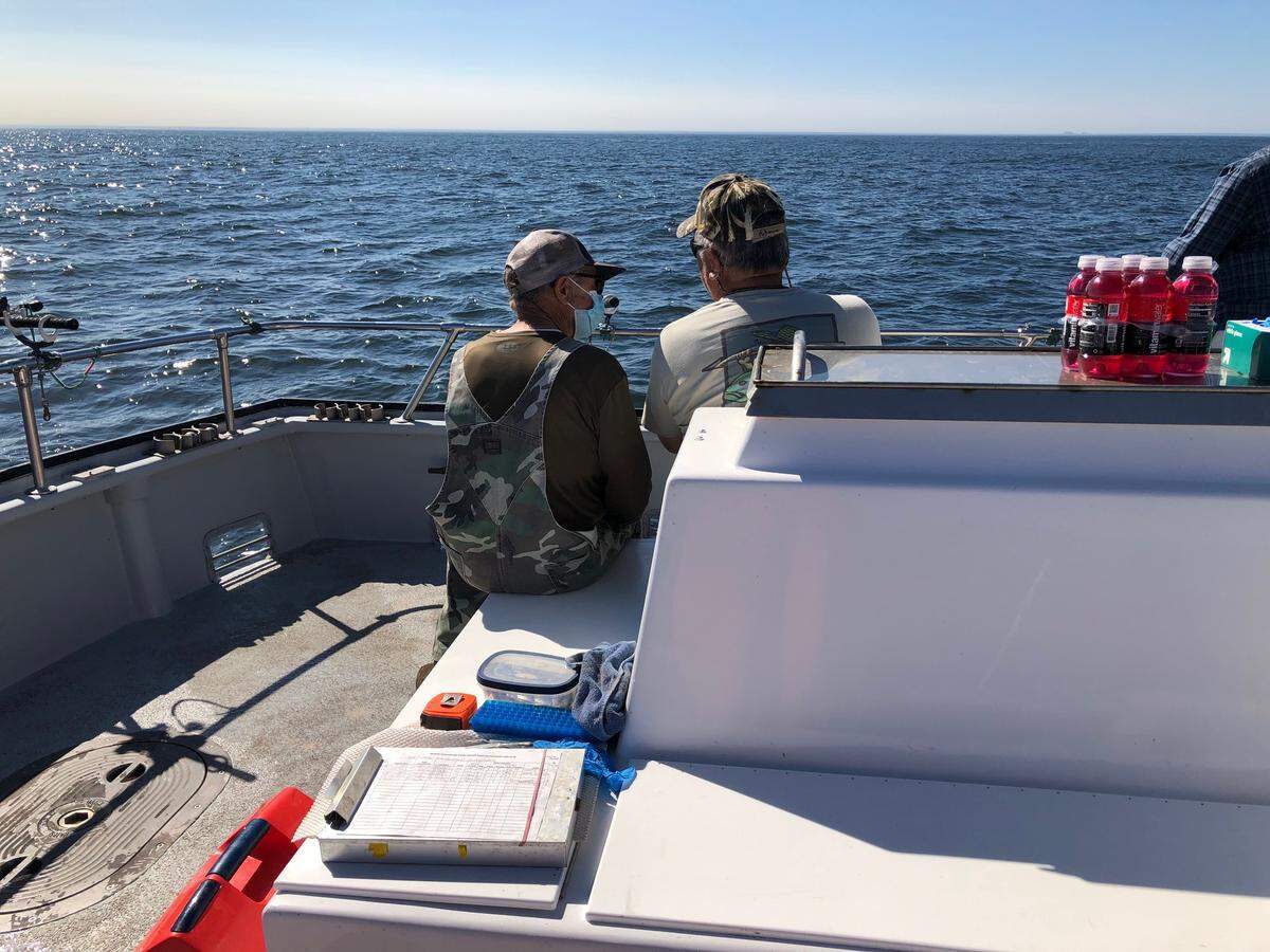 Two salmon fishermen ride the New Rayanne fishing vessel north of the Golden Gate Bridge along the Marin County coast in 2020. The fishermen were assisting with thiamine research by catching salmon that NOAA then analyzed for diet content and egg thiamine concentration in the female salmon.