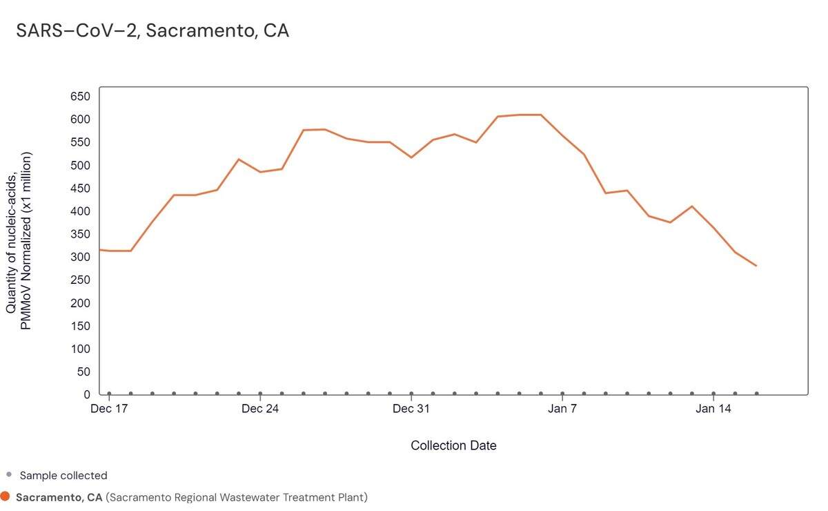 Data compiled by Sandford-based research team WastewaterSCAN reveals medium levels of COVID-19 in Sacramento County, with a downward trend in the past three weeks. 