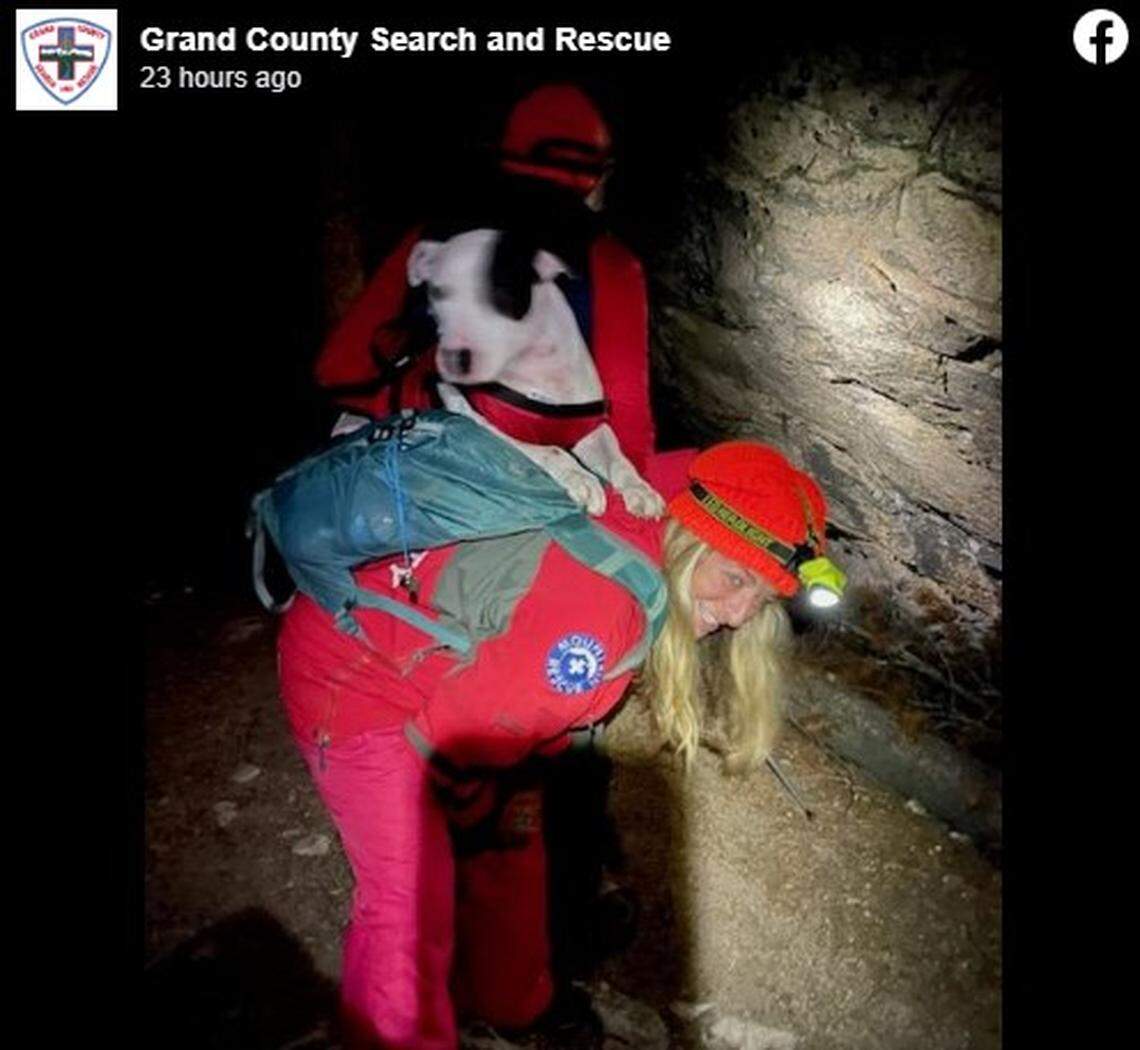 The 80-pounds dog was put in a harness and taken down to a lower altitude.