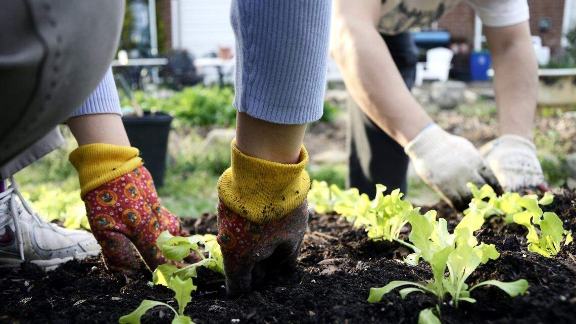 Here’s what to plant now, and what has to wait because of the Northwest’s cold spring