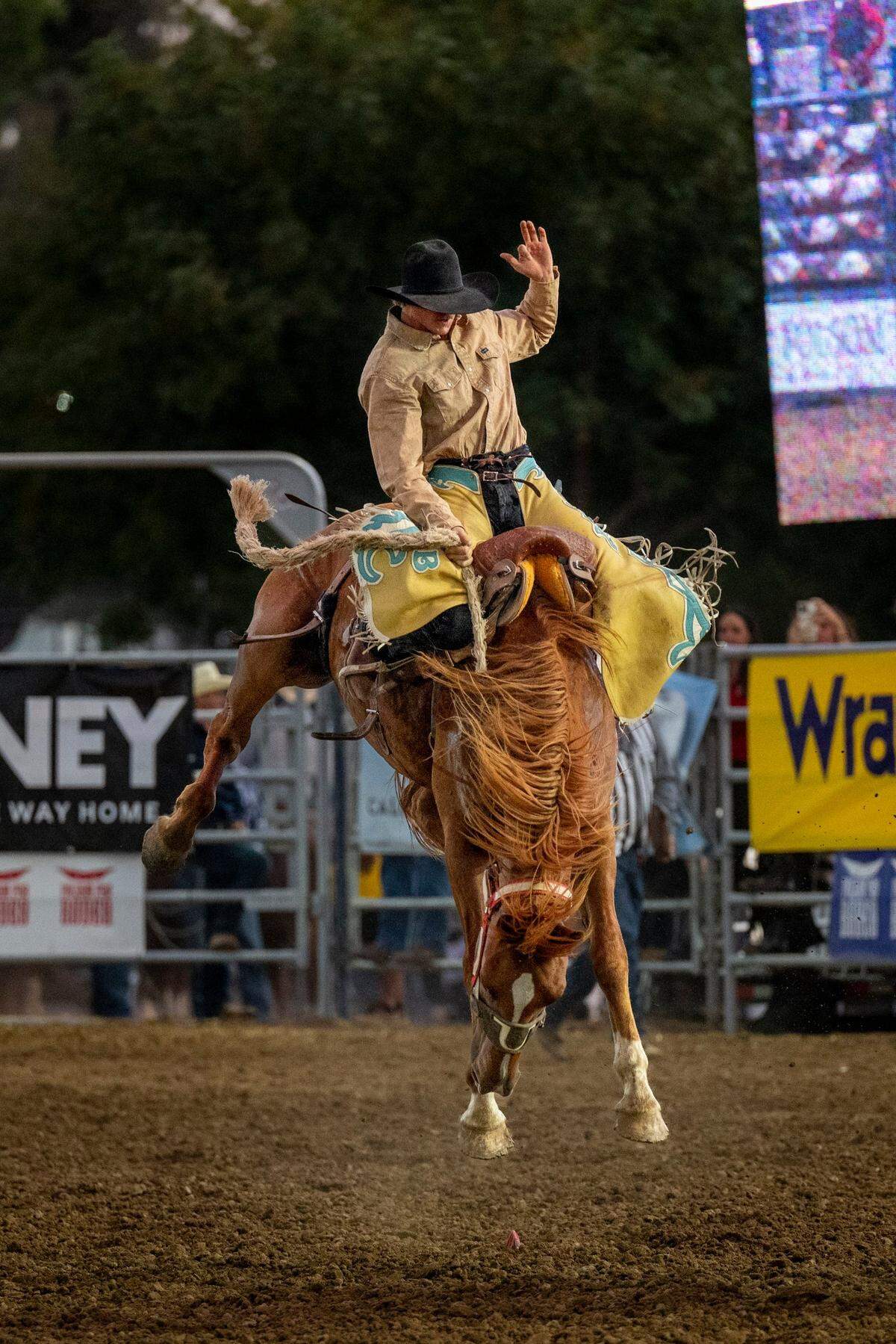 A bareback bronc rider attempts to hang on to a bucking horse for the required 8 seconds during the Folsom Pro Rodeo on Thursday.