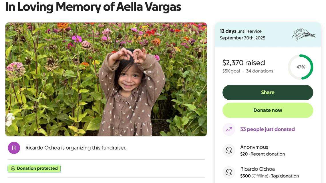 A screenshot of a GoFundMe campaign shows a photograph of Aella Vargas, a 3-year-old who was killed in a relative's driveway on Sunday, Sept. 7, 2025, near Elk Grove. The CHP's South Sacramento office is investigating the crash.