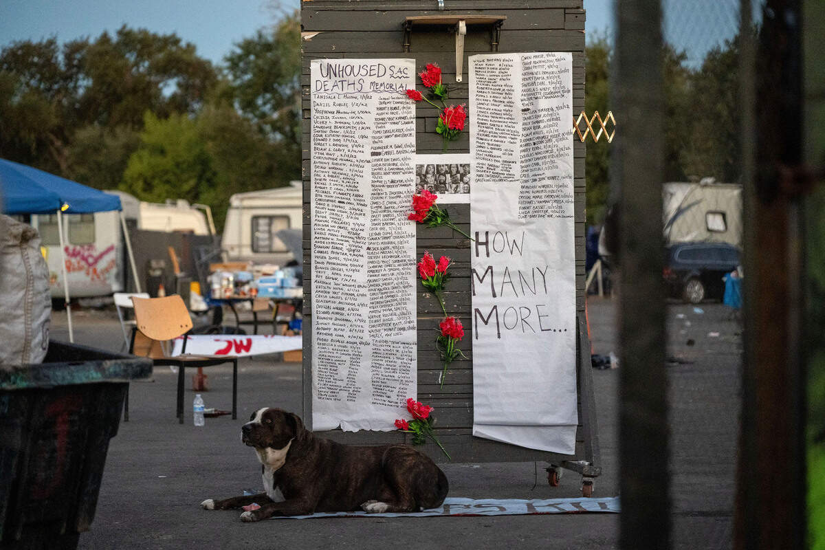 A dog belonging to a Camp Resolution resident rests next to a memorial to the deaths of Sacramento’s homeless population on Monday, Aug. 26, 2024. Camp resident Twana James said it was made to remind city officials of the consequences of removing homeless encampments.