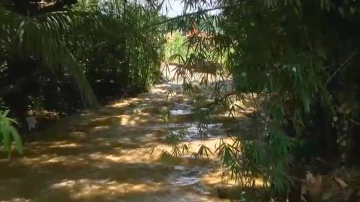 Hawaii man Joshua Bradbury died after he was swept away while attempting to rescue a stray dog that was struggling in floodwaters The flooding was a result of rain bands associated with Hurricane Lane.