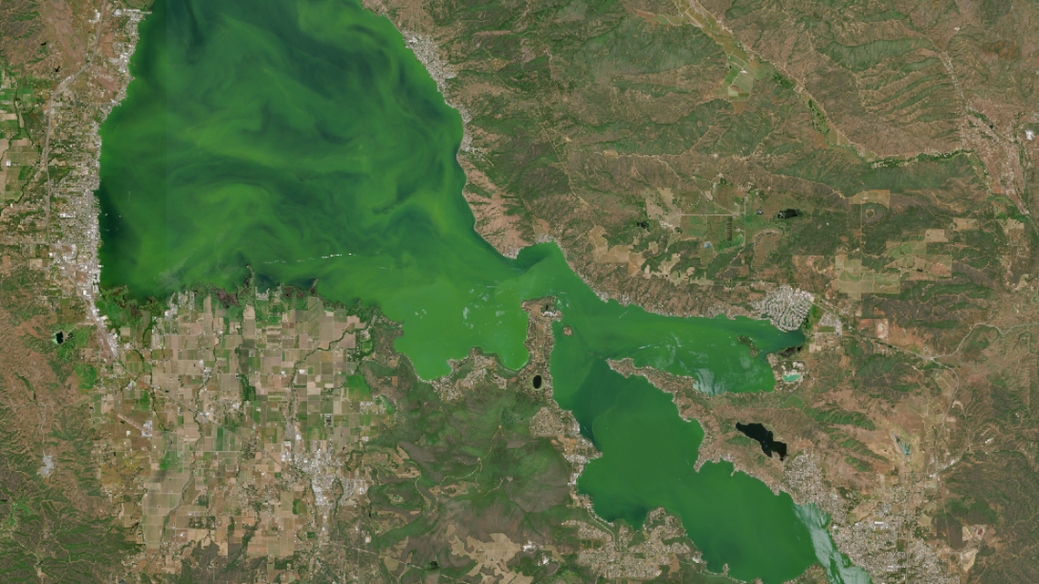 Satellite photo of harmful algal bloom covering Clear Lake on May 16, 2024.